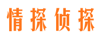 京口市侦探调查公司